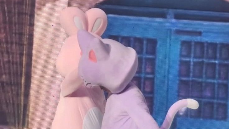 화디𓇼 tweet media