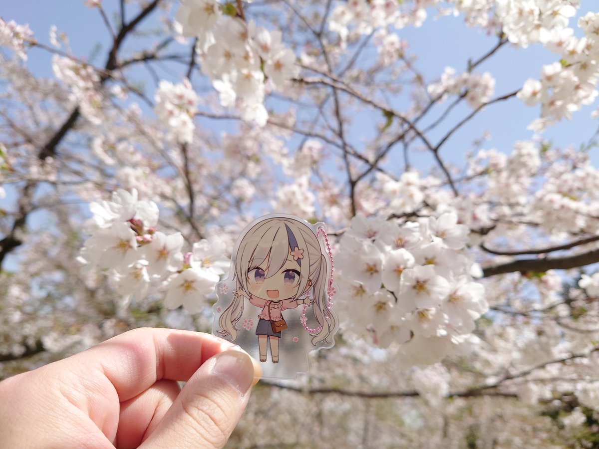 篝火 tweet media