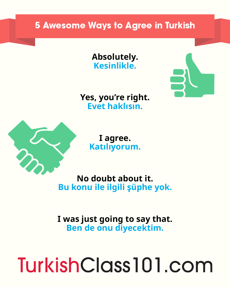 Stop just nodding and start using these 5 ways to agree in Turkish! 🙂👍 P.S. Learn Turkish with the best FREE online resources, only here: bit.ly/4doakwH