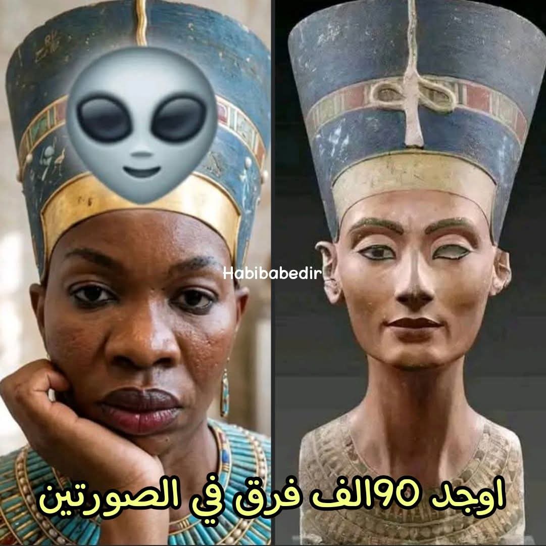 مــد(🇪🇬مـصـر🇪🇬)نــيــة tweet media