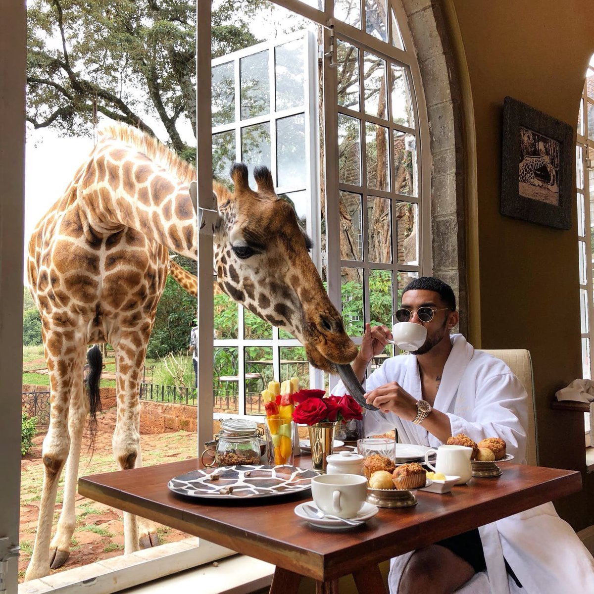 Stejos_Tours's tweet image. Nairobi isn’t just a city, it’s a mood.

From breakfast with giraffes to hidden green sanctuaries, luxury lives in the quiet moments in between.

When did you last press pause and treat yourself?

 #Nairobi #LuxuryTravel #Escape