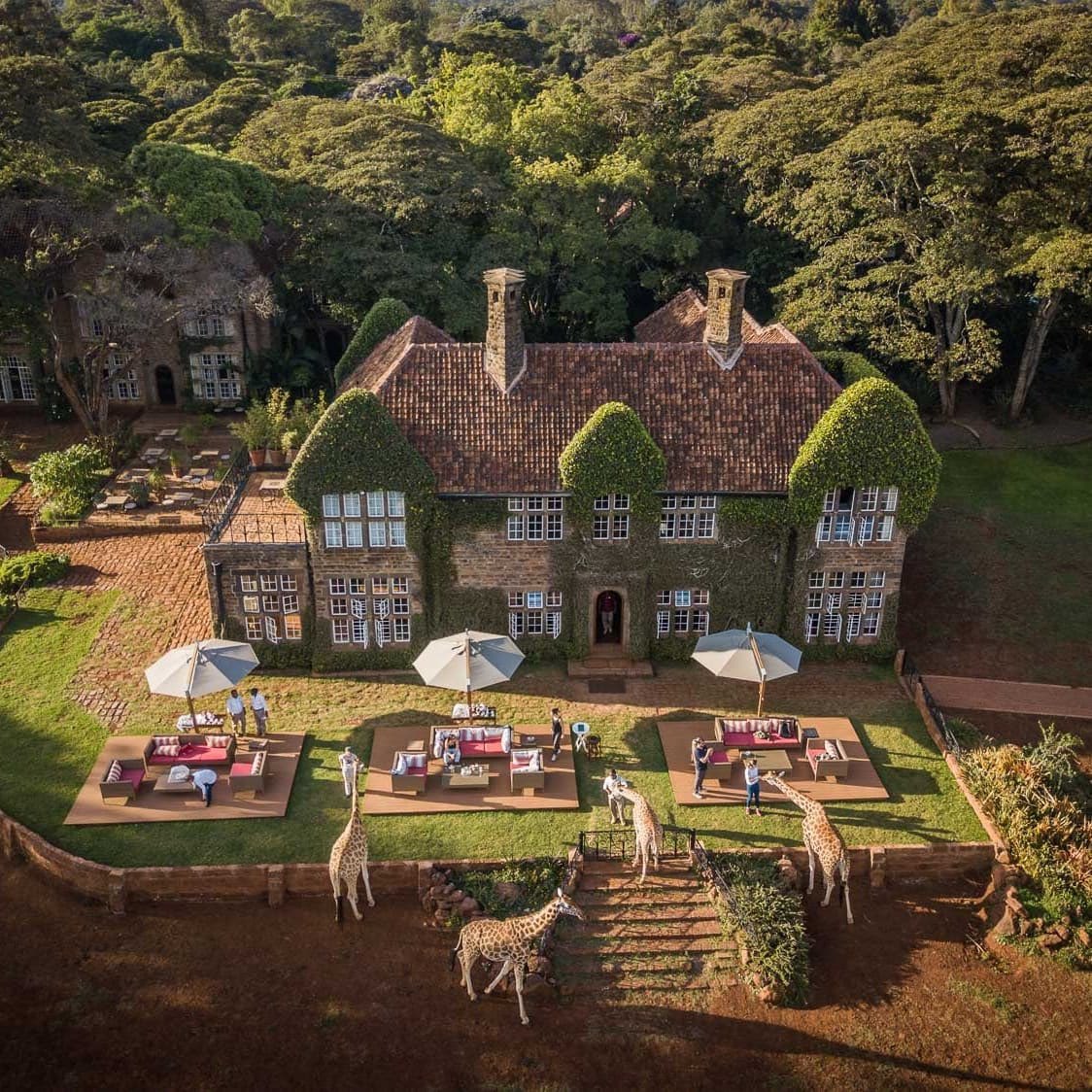 Stejos_Tours's tweet image. Nairobi isn’t just a city, it’s a mood.

From breakfast with giraffes to hidden green sanctuaries, luxury lives in the quiet moments in between.

When did you last press pause and treat yourself?

 #Nairobi #LuxuryTravel #Escape