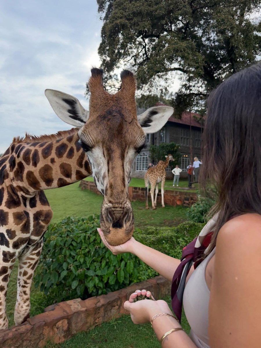 Stejos_Tours's tweet image. Nairobi isn’t just a city, it’s a mood.

From breakfast with giraffes to hidden green sanctuaries, luxury lives in the quiet moments in between.

When did you last press pause and treat yourself?

 #Nairobi #LuxuryTravel #Escape