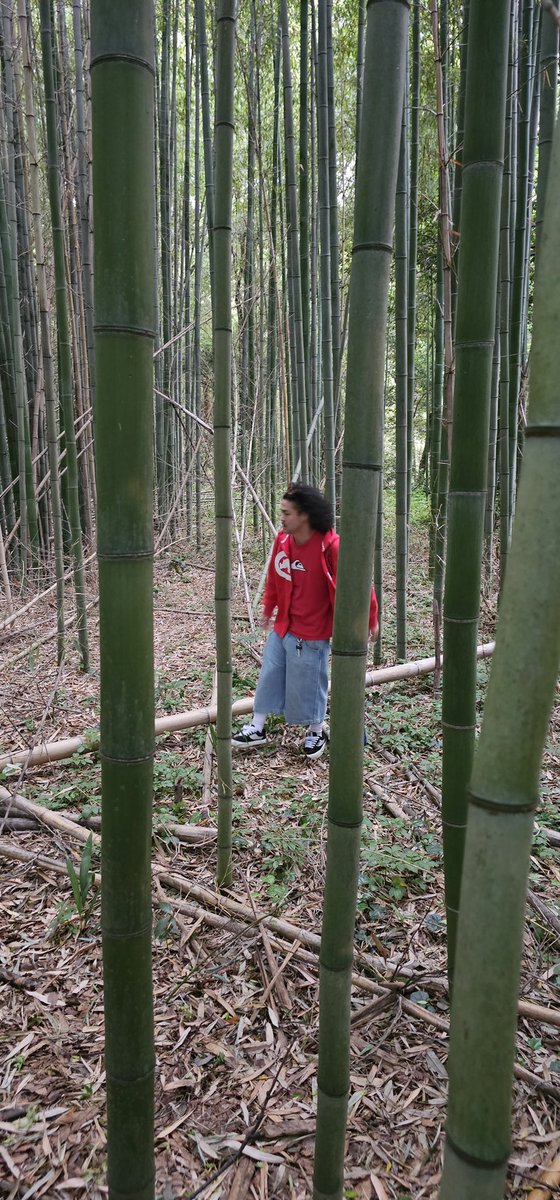 sachi_rt134's tweet image. 🎋
#art
#graffiti
#Bamboo
#QUIKSILVER
#ROXY
#ECKO