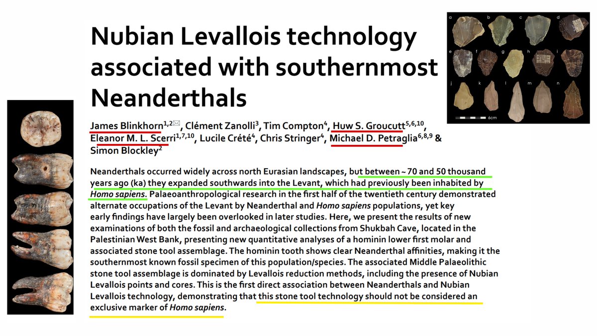 Highly Cited tweet media