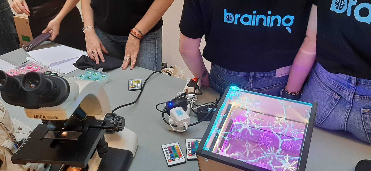 Braining Club 🧠 Erasmus + tweet media
