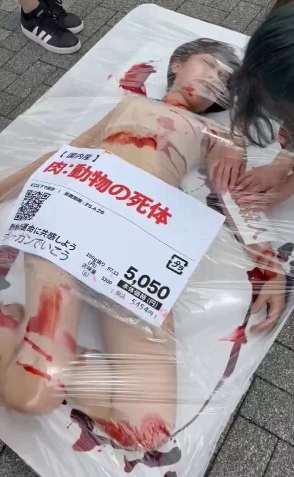 崔碩栄 tweet media