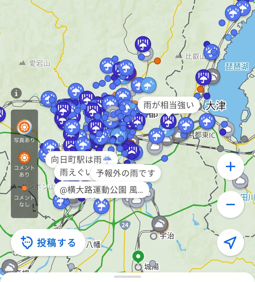 朱砂の葉 tweet media