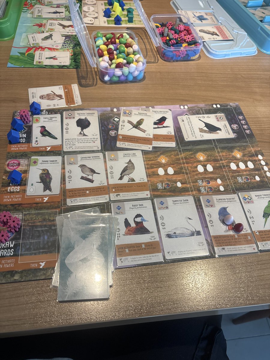 dedaydedi's tweet image. Wingspan! #boardgame