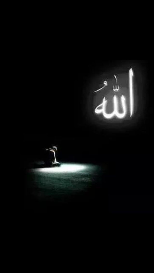 🇹🇷Mecit Pehlivan🇹🇷 tweet media