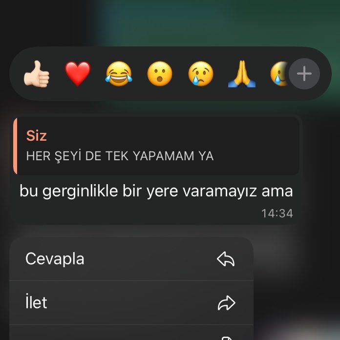 Dilara ﺦ tweet media