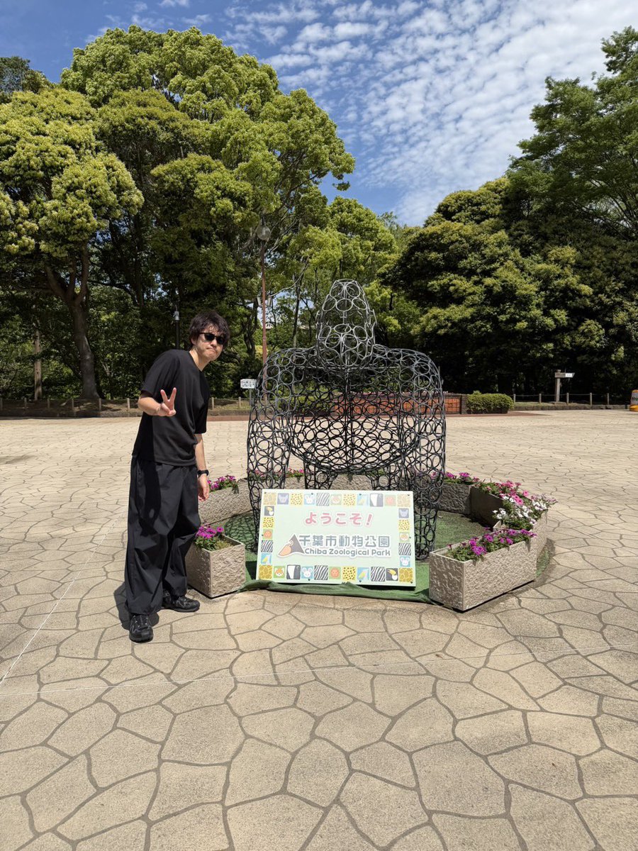 DJ和 tweet media