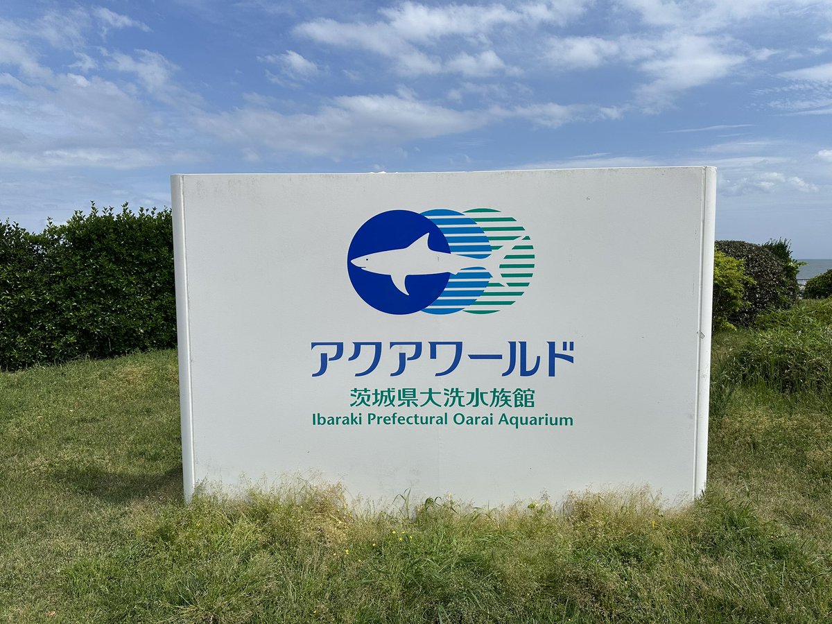 西ずみ tweet media