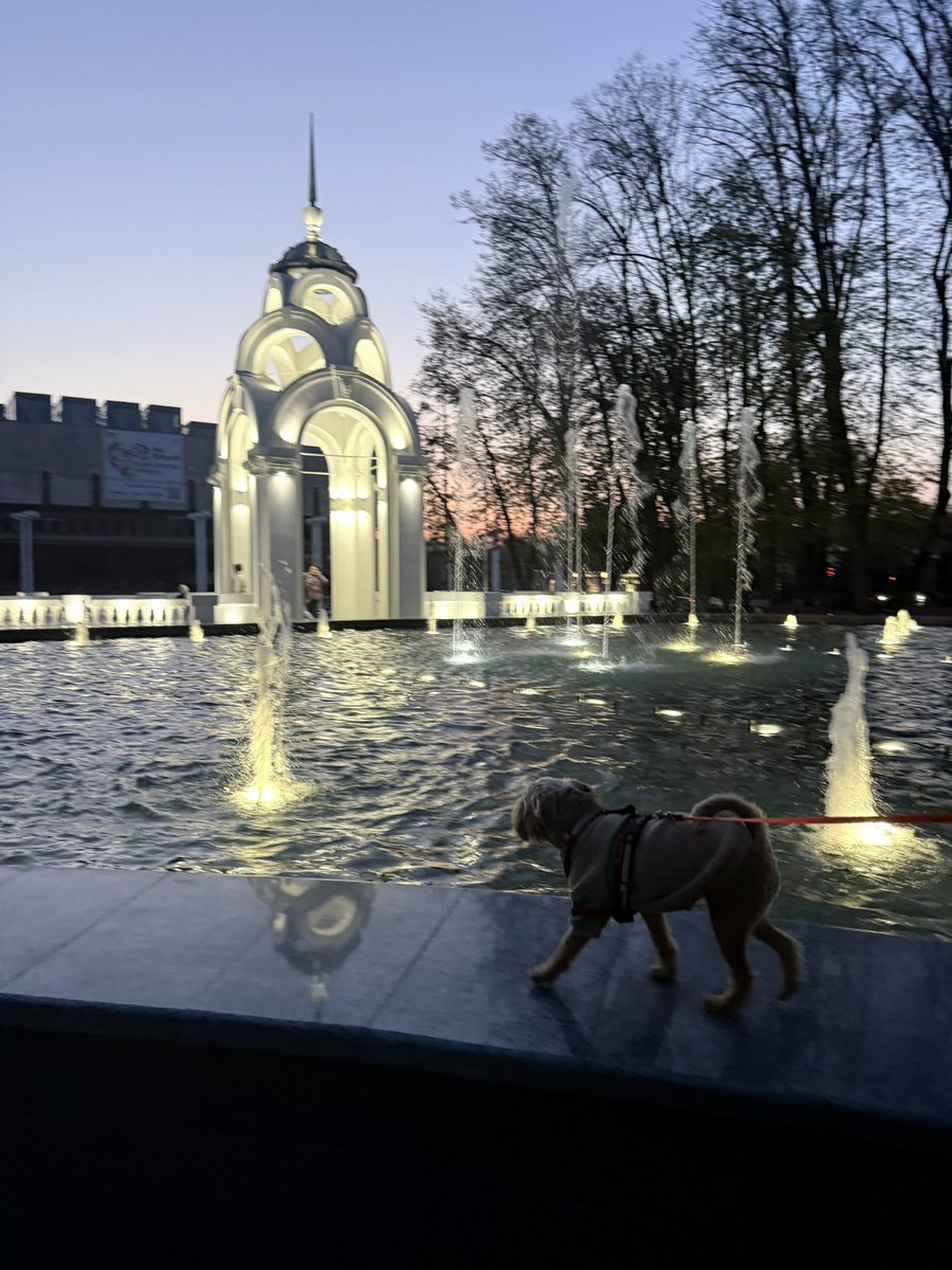 В Харкові пускають в метро з собакою 💓 
І тепер особливо відчутно, наскільки занедбаним став Київ