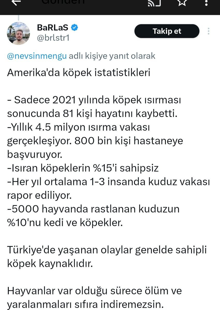 Sema Özçelik tweet media