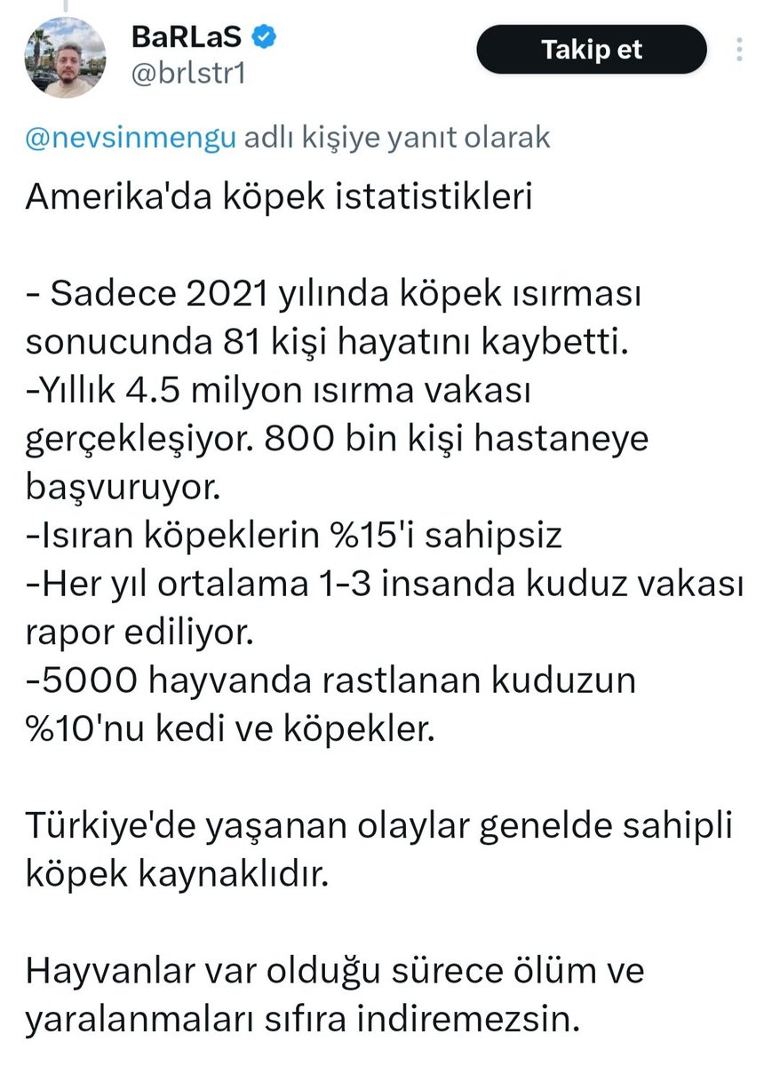 Sema Özçelik tweet media