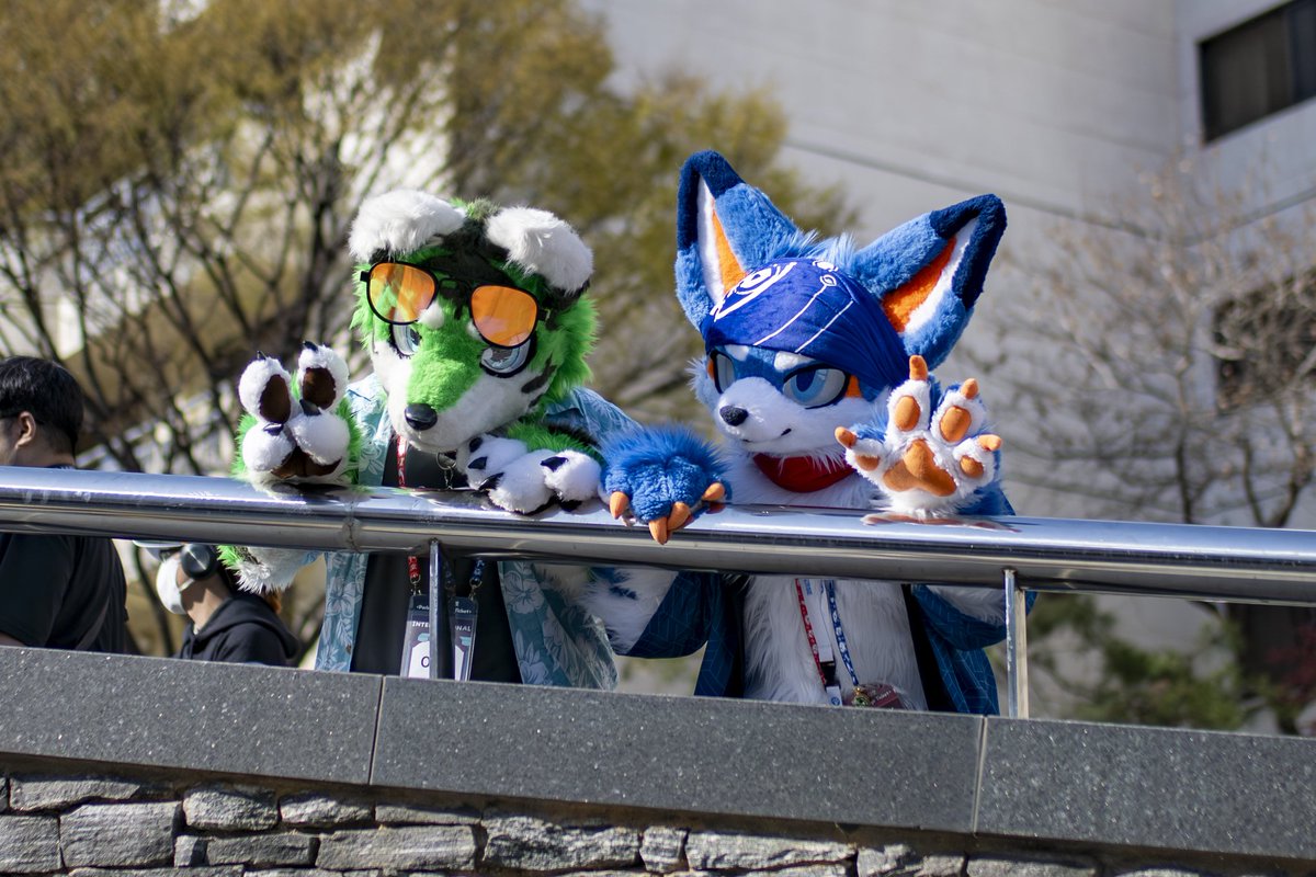 scall125's tweet photo. #Fursuiteveryday #Furstclass26
ππ https://t.co/2nnl3U78yo