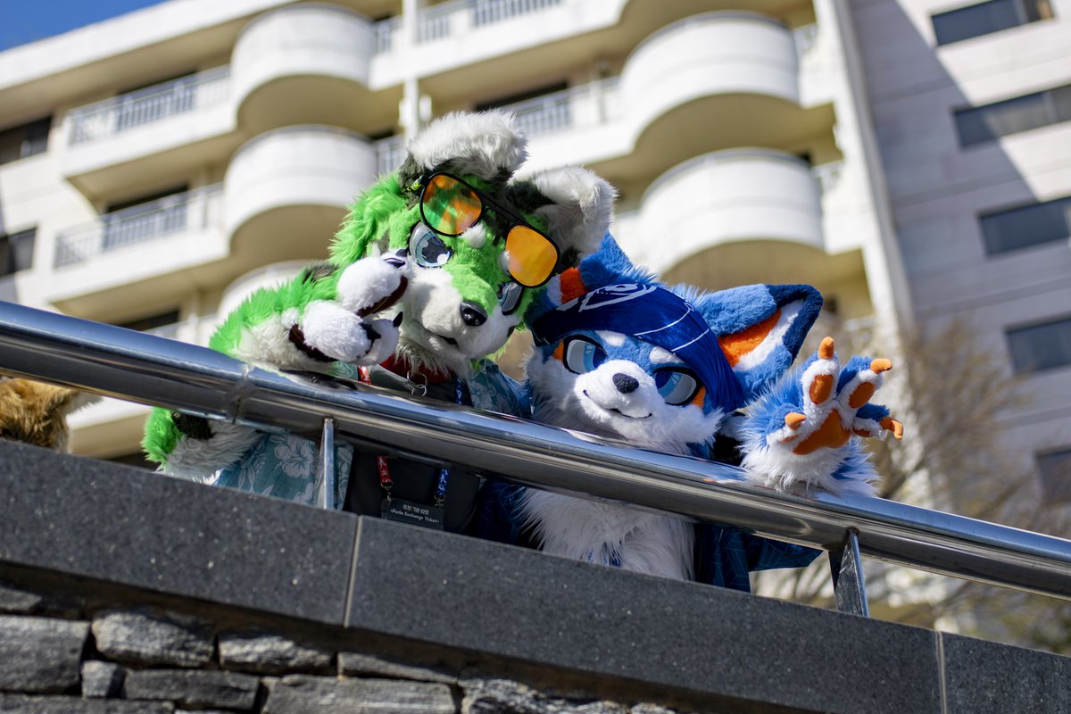scall125's tweet photo. #Fursuiteveryday #Furstclass26
ππ https://t.co/2nnl3U78yo