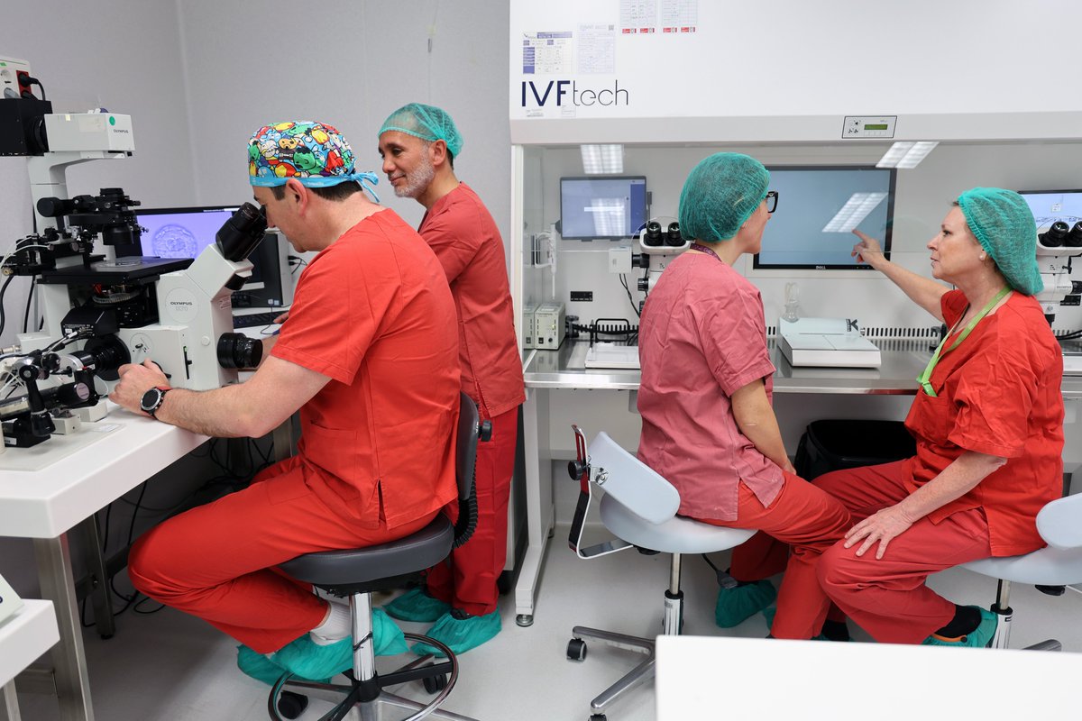 HospitalLaFe's tweet photo. 🤱El @HospitalLaFe de @GVAsanitat logra una tasa de #embarazo del 40 % con #DiagnósticoGenéticoPreimplantacional, que permite detectar más de 5.000 #patologías antes de la #gestación y seleccionar embriones libres de #AlteracionesGenéticas

🔗https://t.co/nuQKZJYLa0

#SomosLaFe https://t.co/xao57UcfZY