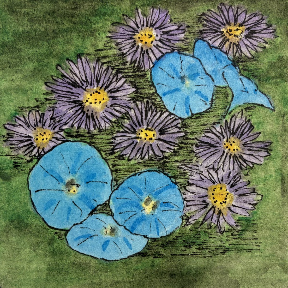 timohare's tweet image. Here's this morning's miniature #watercolour #painting, No.9 (September) in my Birth Month #Flowers series - #Aster and #MorningGlory...