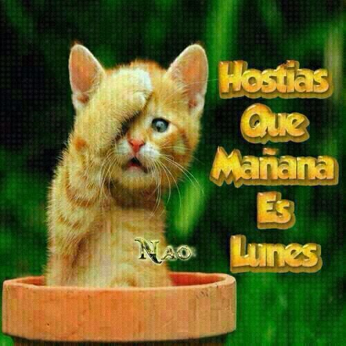 mateitoXjk tweet media