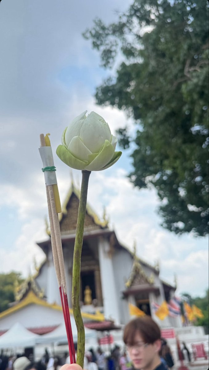 แม่เด็กจิ๋ว 🌷 tweet media