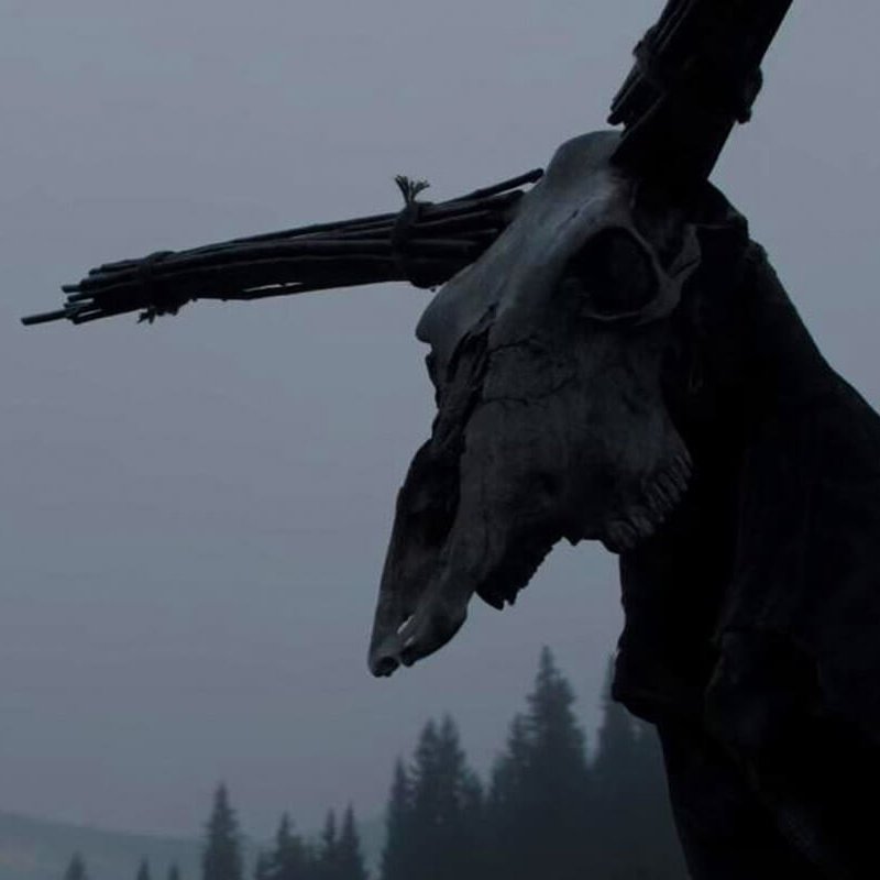 waynekelso10's tweet photo. Utilising the inherent terror of the woods at night, The Ritual is a film of steadily building tension, uncomfortable character revelations, the heavy toll that mistakes of the past can have on our present and future and how we are, inevitably, our own worst enemy.
#theritual https://t.co/rwoOqUdNdJ
