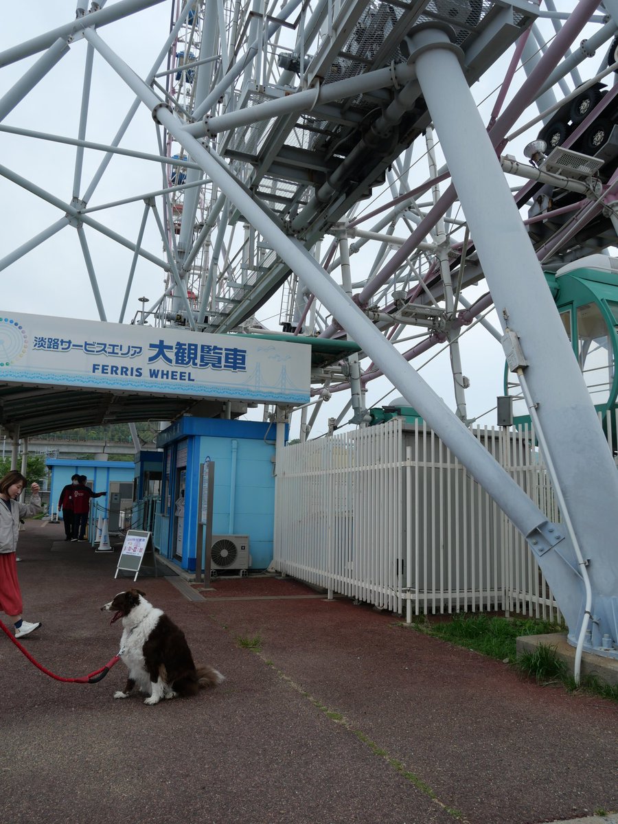 だにえる🦈Adelhied tweet media