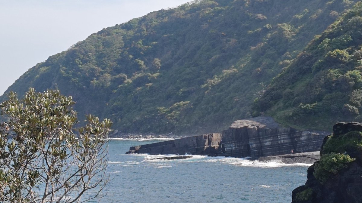 kyamada_ky's tweet photo. 今回の旅ではダム巡りを少なくして観光地へ行ったのですが、朝に行ったこともあり人が少なく良い運動と軽いスリルが味���える素敵な所でした。
#山口県
#須佐ホルンフェルス https://t.co/teOuwnQZM9