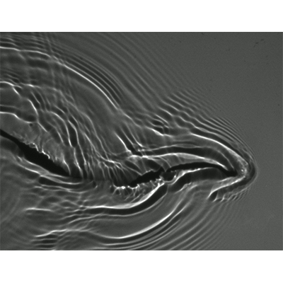 Physical Review Fluids tweet media