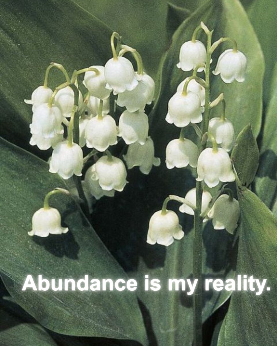cosmicgracee_'s tweet photo. เผหยฐ. Abundance is my reality.เณเฟ*:๏ฝฅ
โ pls like/retwt before using the image (image is energetically charged)
#tarot #manifesting #manifestations #abundance #tarotph #tarotreader #lfclient https://t.co/KPLSZiNt1E