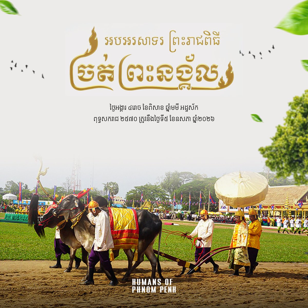 Humanspp's tweet photo. Happy Royal Ploughing Ceremony Day
The Royal Ploughing Ceremony is an important cultural tradition that shows the King’s care for the people and marks the start of a new farming season. 
#HumansofPhnomPenh #RoyalPloughingCeremony2026 #Cambodia https://t.co/1UpFfxv1qg