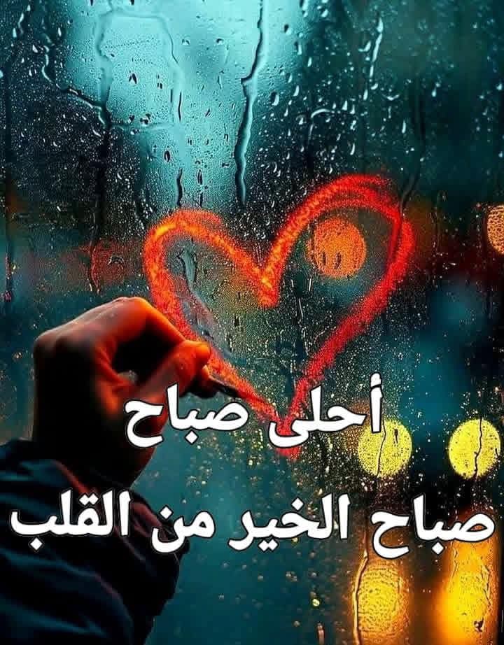 امنه كركي tweet media