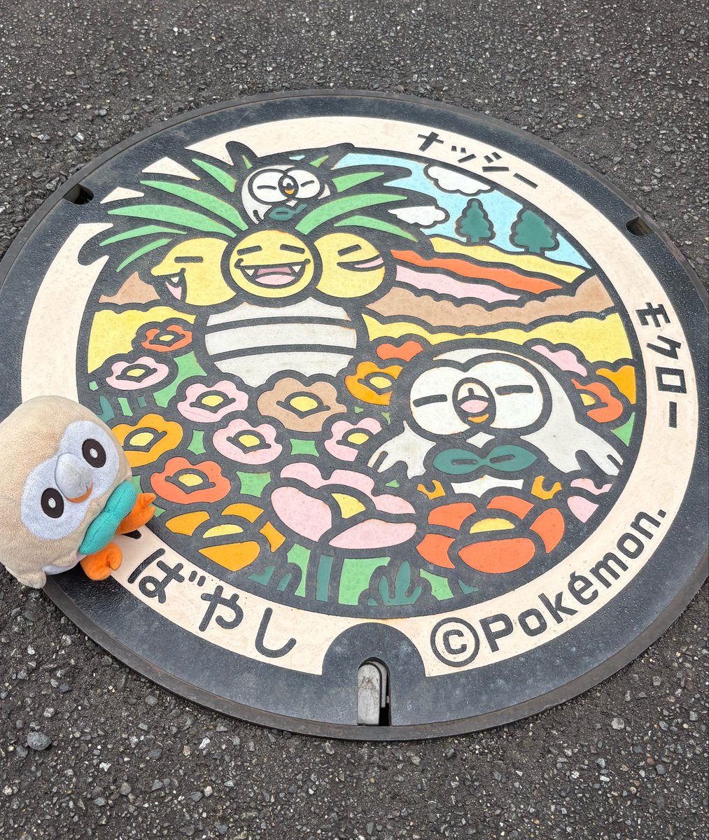 ひよ (@mokuroh_master) on Twitter photo 