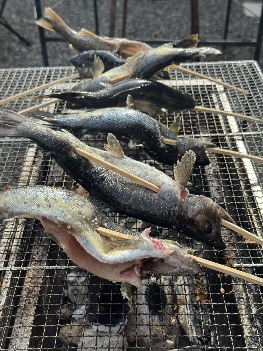 雨響 tweet media