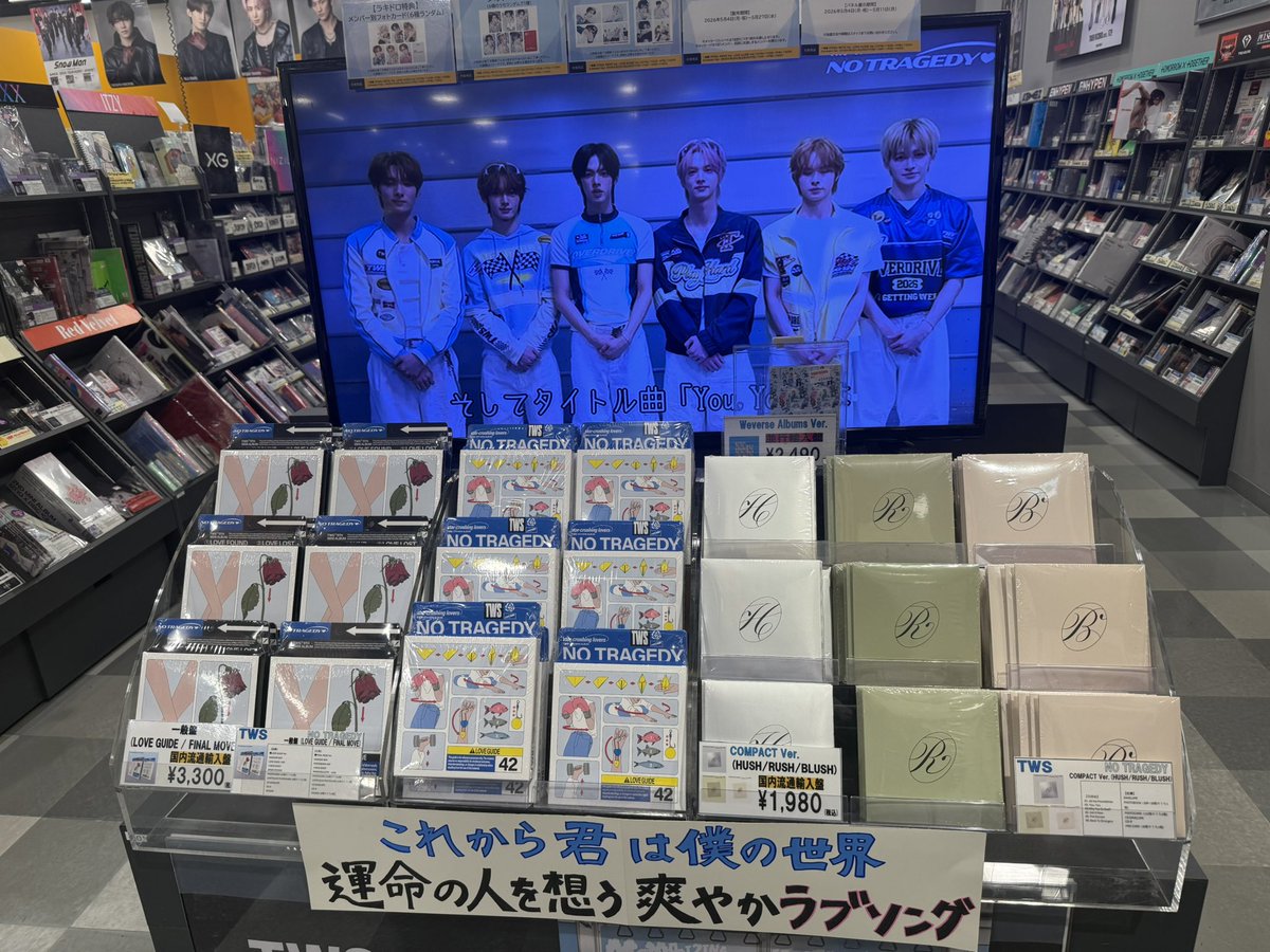 もこ tweet media