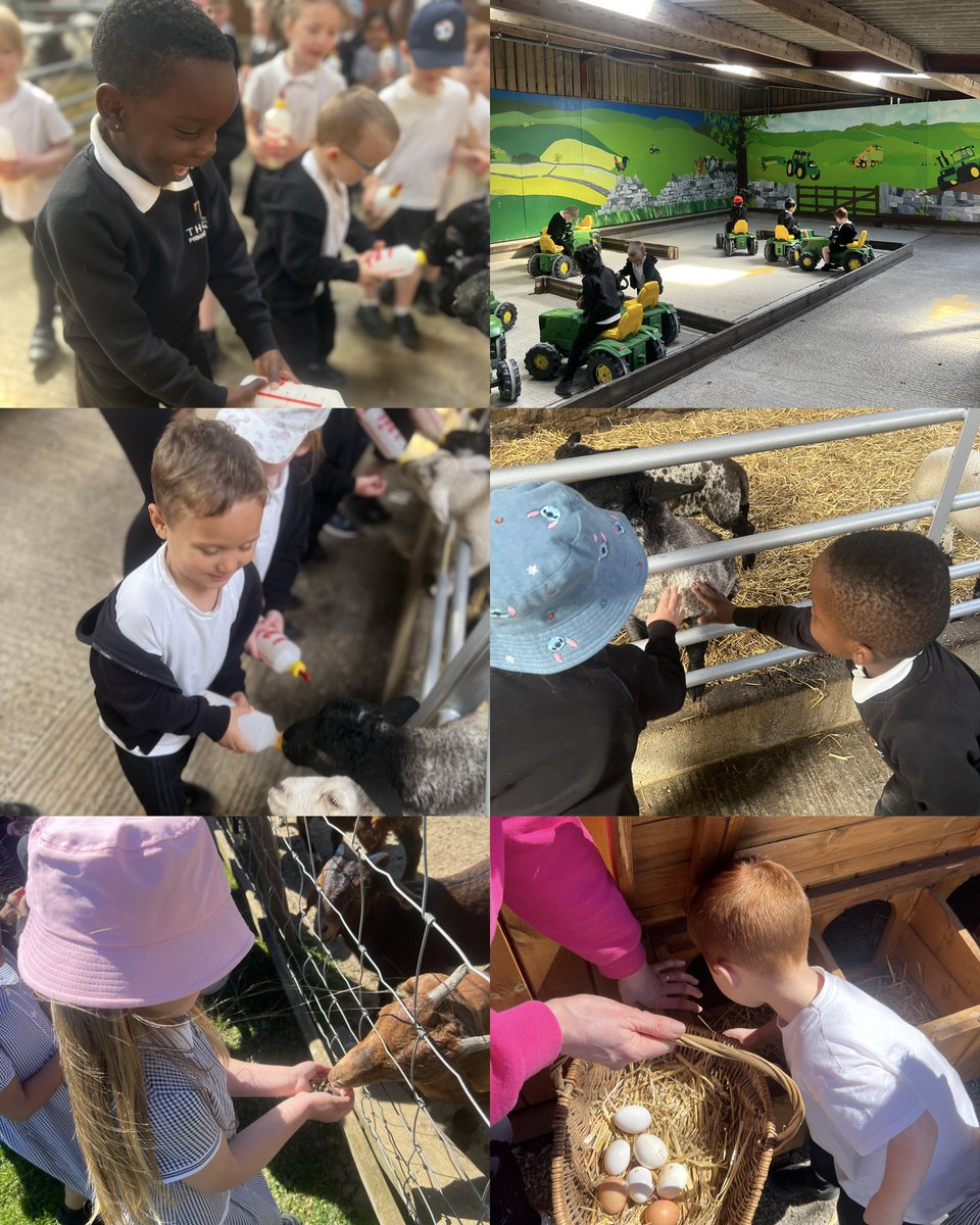 ThorpeBradford's tweet image. Our EYFS trip to Hesketh Farm was simply wonderful! The children had such a fabulous time weighing the milk, feeding the lambs and experiencing a tractor ride. Topped off with a perfect spring day, it was a truly memorable experience for everyone 🌼🐑🚜 @CATAcademyTrust #EYFS
