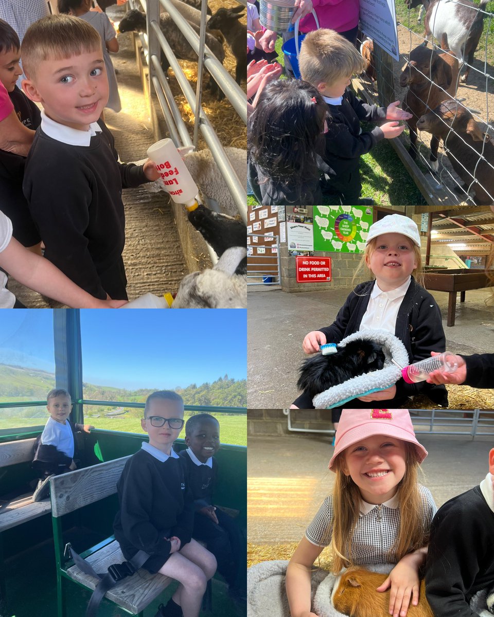 ThorpeBradford's tweet image. Our EYFS trip to Hesketh Farm was simply wonderful! The children had such a fabulous time weighing the milk, feeding the lambs and experiencing a tractor ride. Topped off with a perfect spring day, it was a truly memorable experience for everyone 🌼🐑🚜 @CATAcademyTrust #EYFS