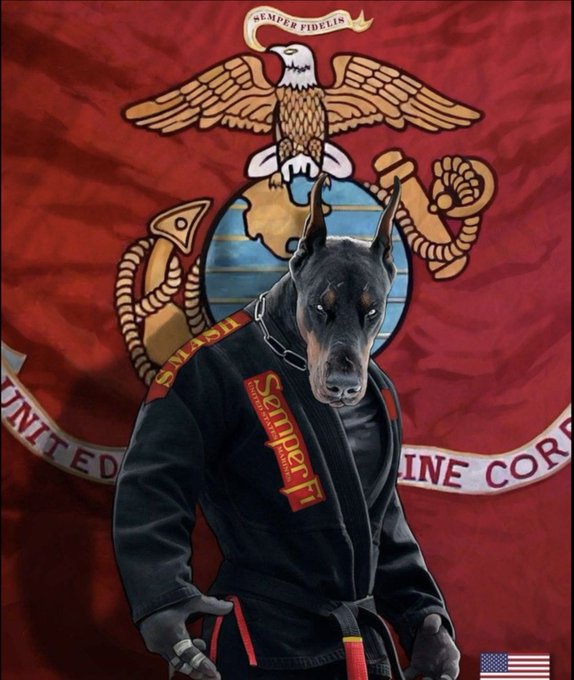 Wolfsinn tweet media