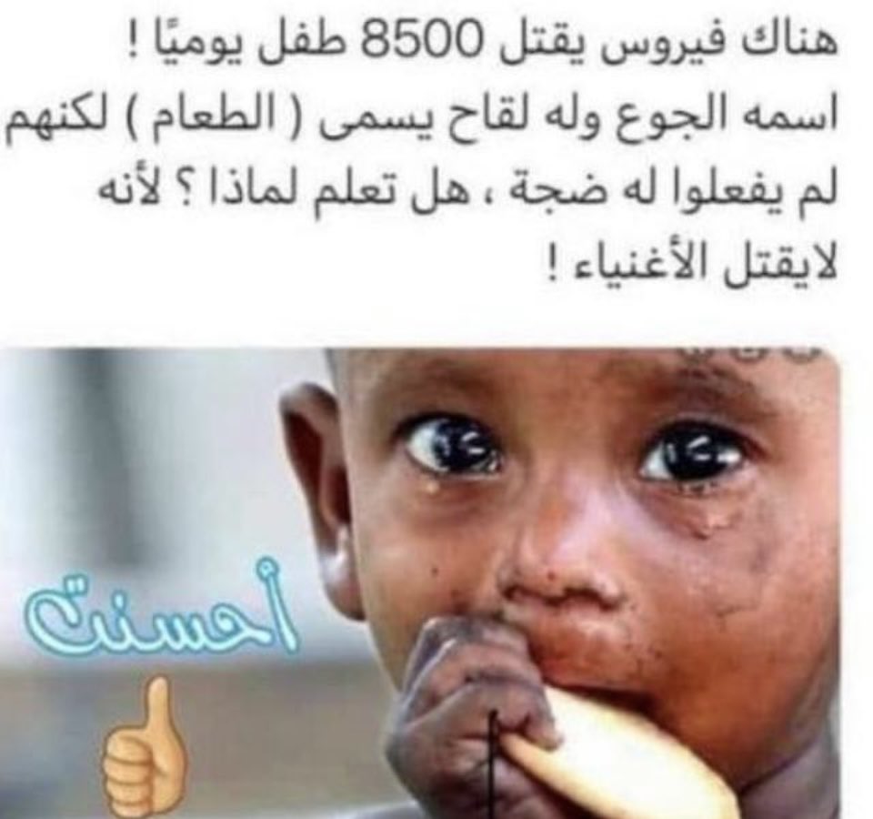 ذيب تويتر tweet media