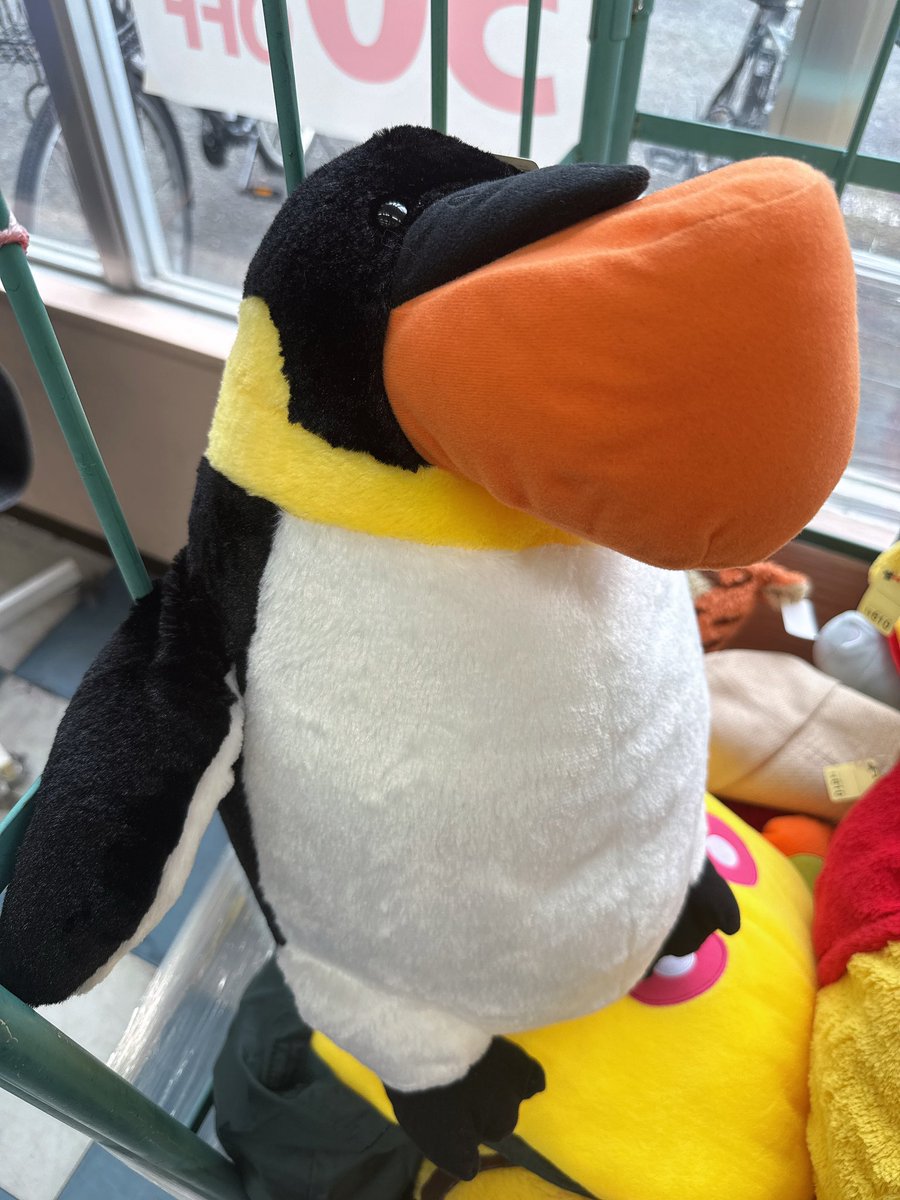 kingfamilyKANTO's tweet image. 【越谷店】

まだまだ元気に頑張ります！

オススメは...
ペンギン(シャクレルプラネット)のぬいぐるみ！
￥280
※移送・取り置き対象外となります

#越谷店 #古着 #雑貨 #ペンギン #シャクレルプラネット