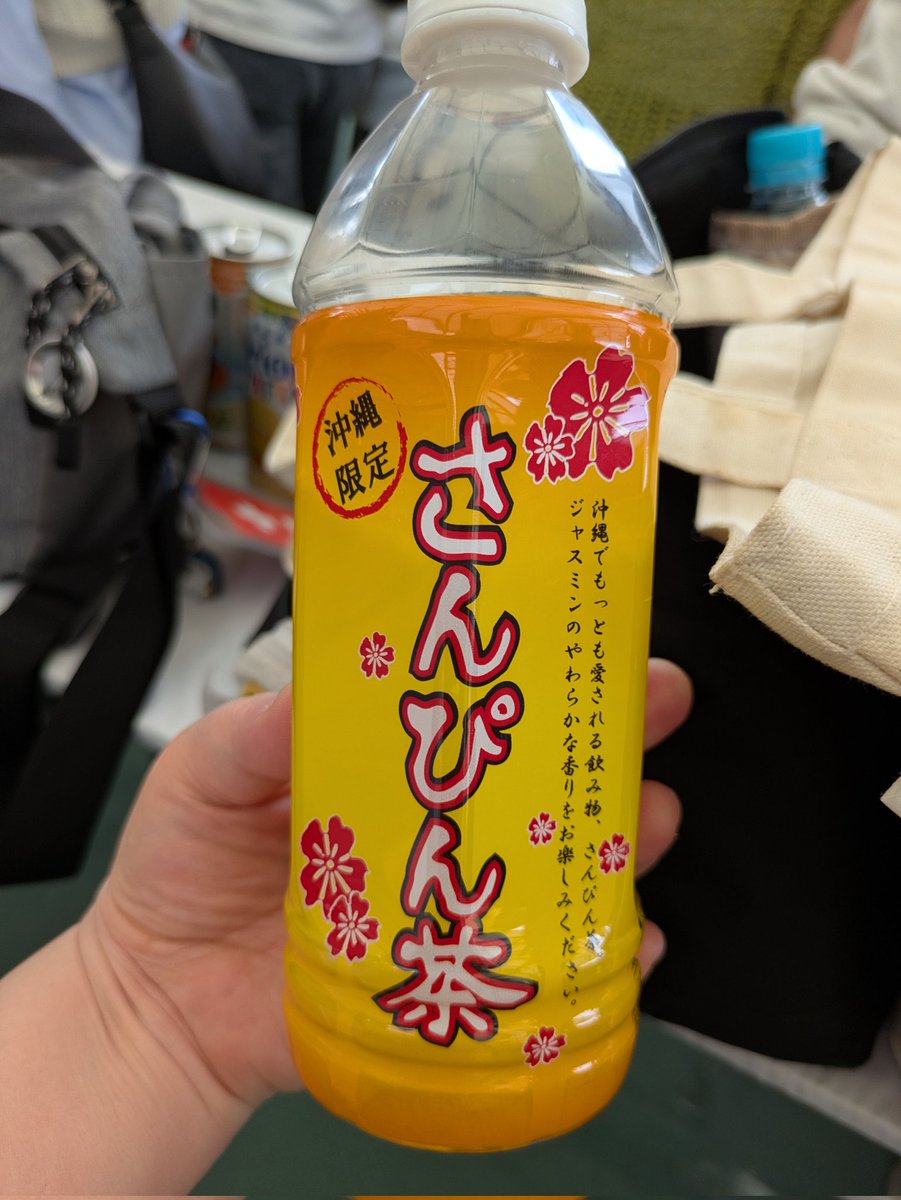 ちえちゃん　またの名を　きんぱつねこ tweet media