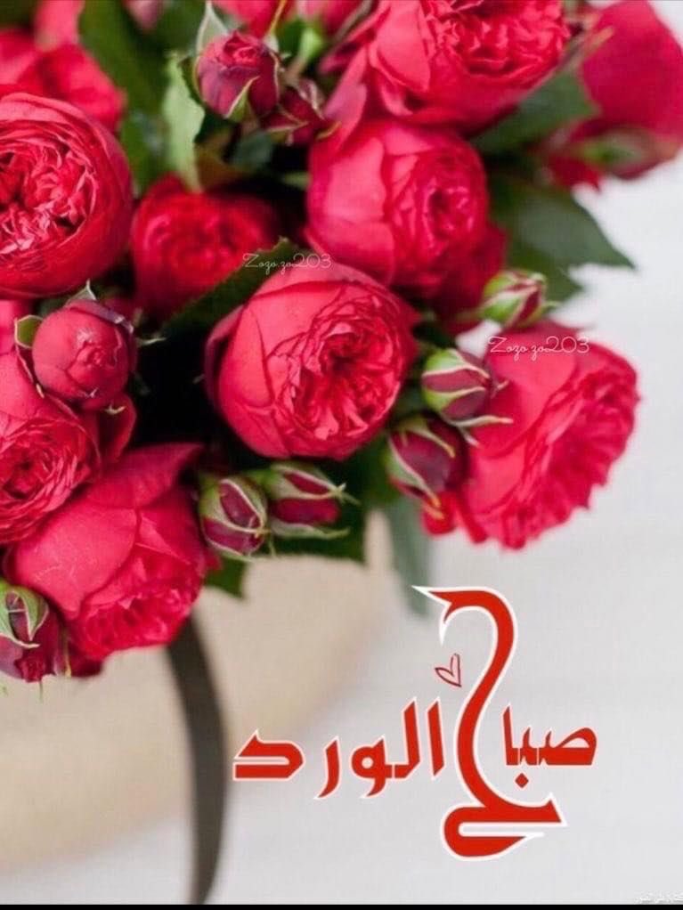 أشواق معطرة tweet media