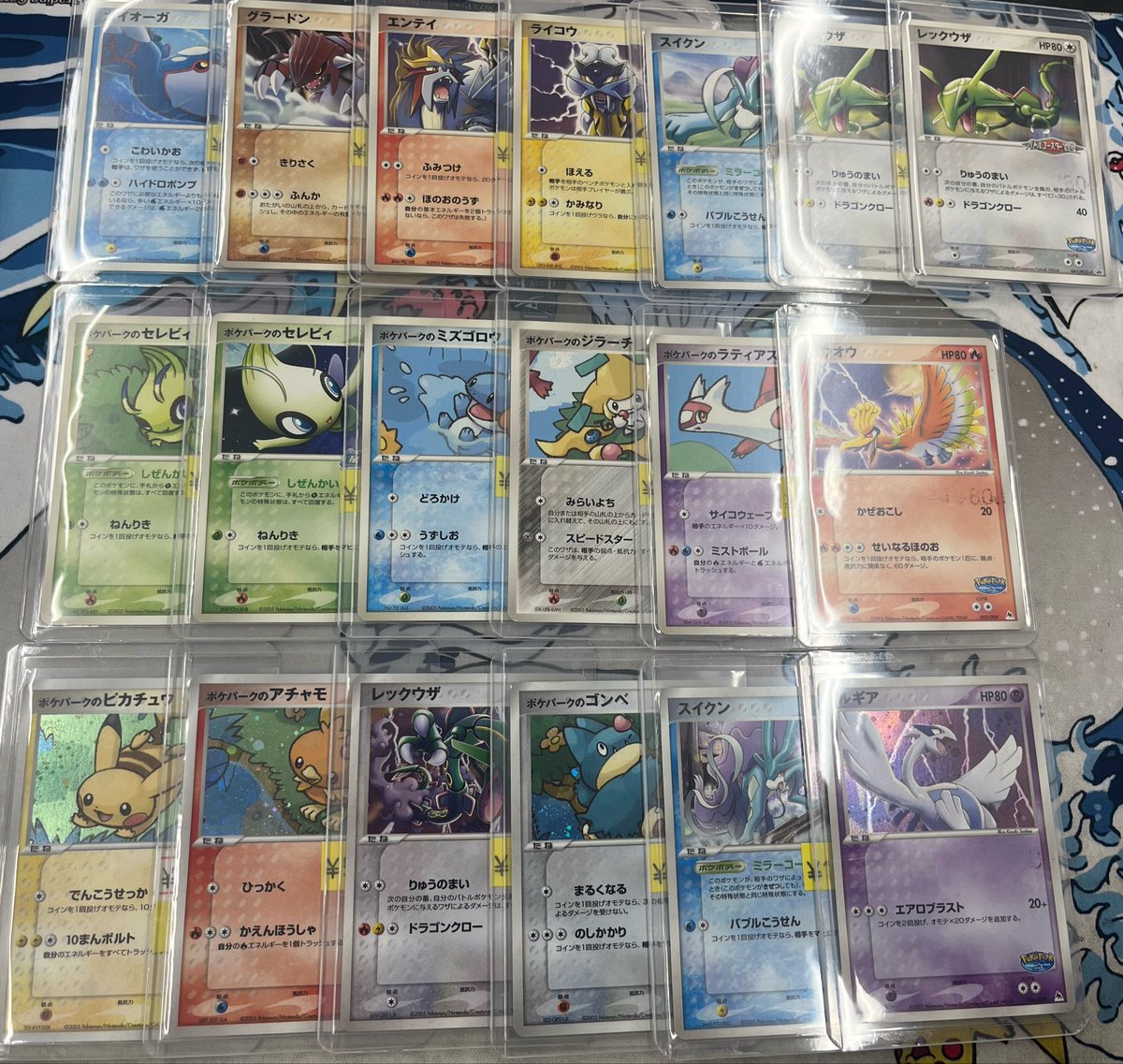 🔥入荷情報🔥】 ポケパーク👀 ✨️大✨️量✨️入✨️荷✨️ 状態確認