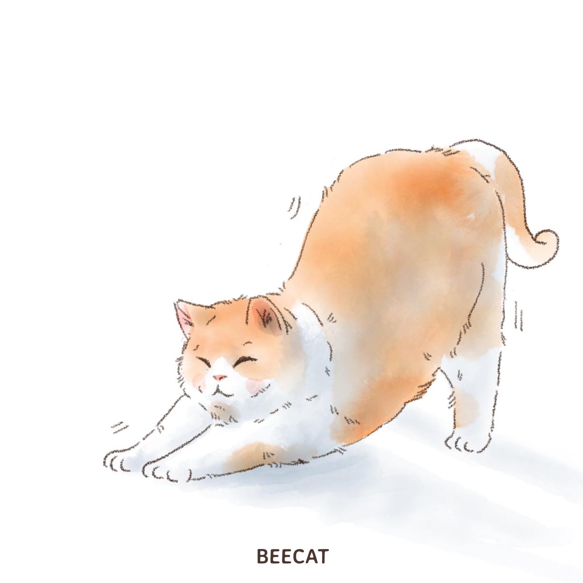 Beecat tweet media