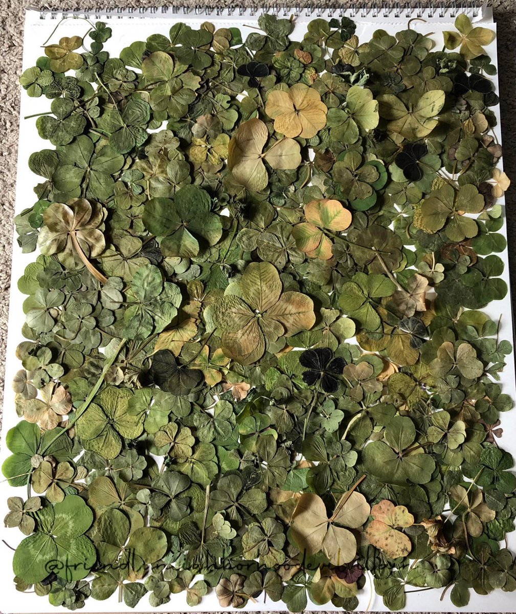 소 tweet media