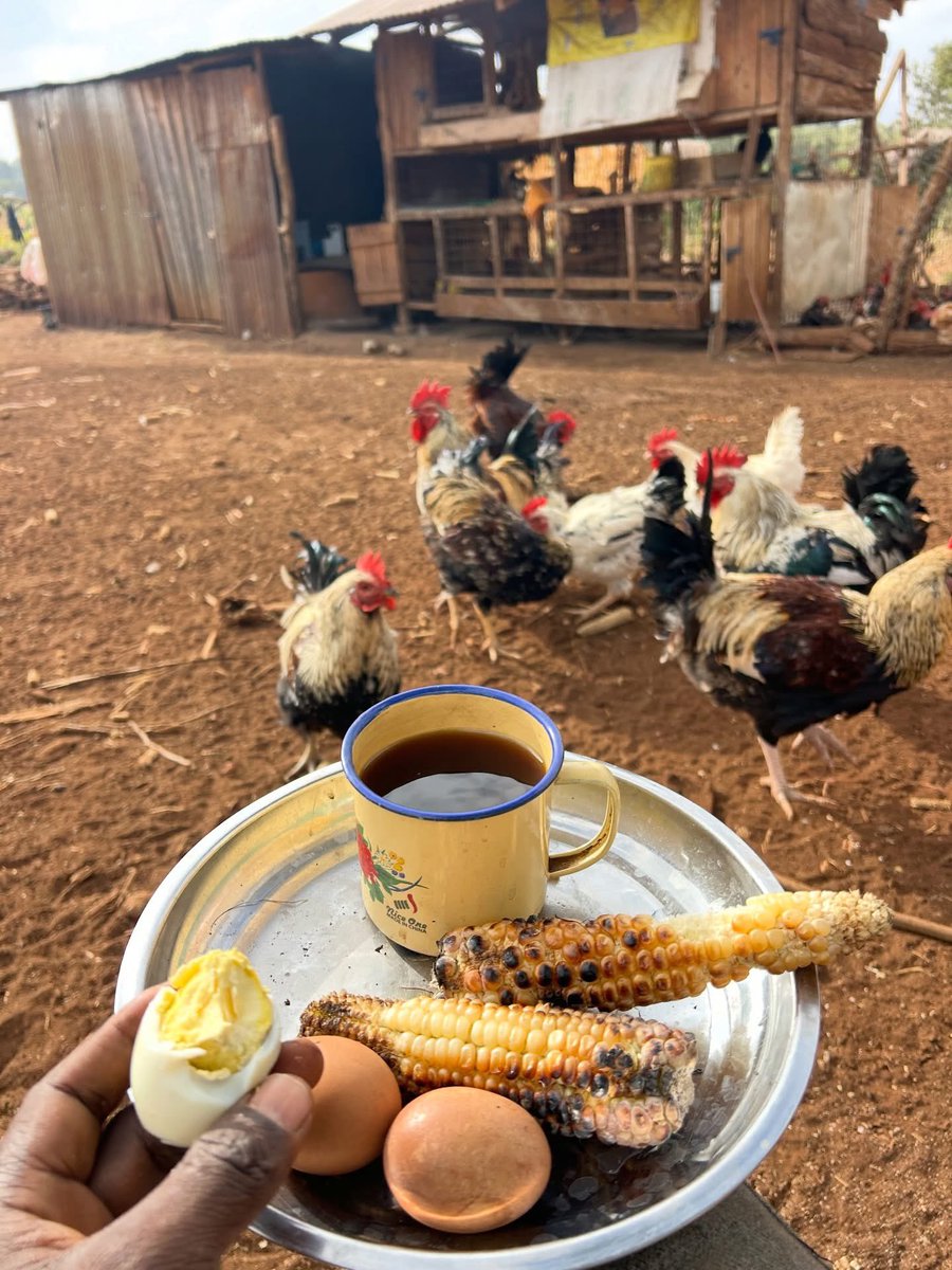 Farm With Fred tweet media