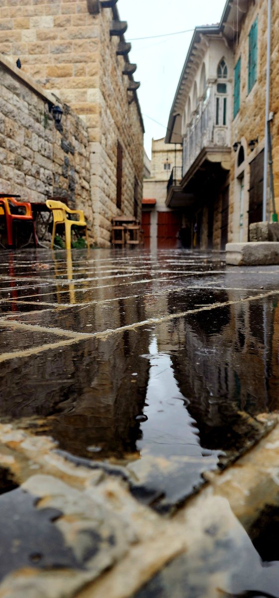 ⛈️عباس م غزال ⛈️ tweet media