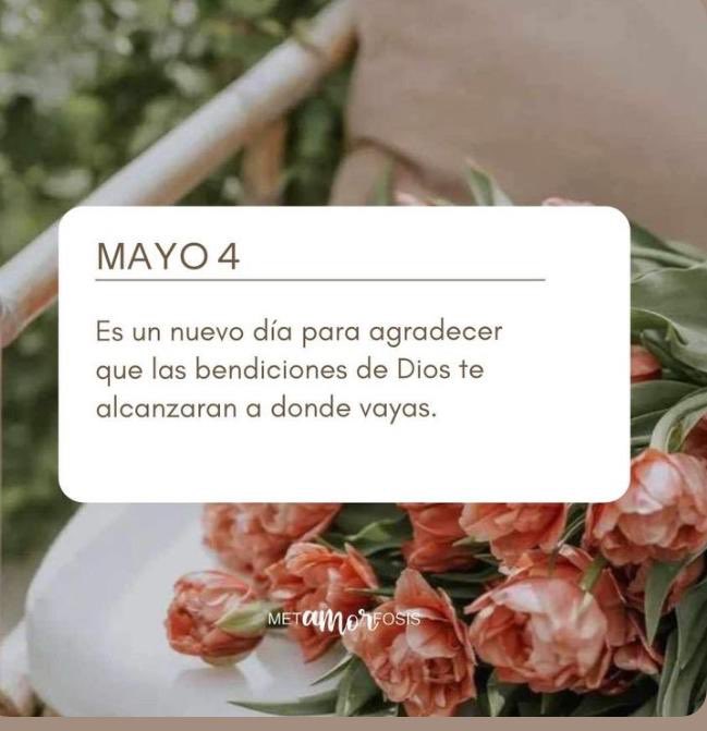 Eloisa Cid tweet media