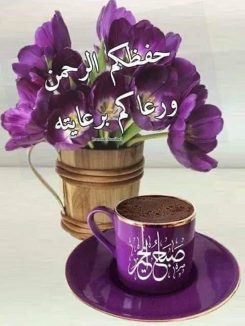 الراكد tweet media